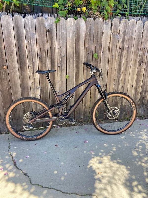 2022 Specialized Stumpjumper EVO Custom Mullet